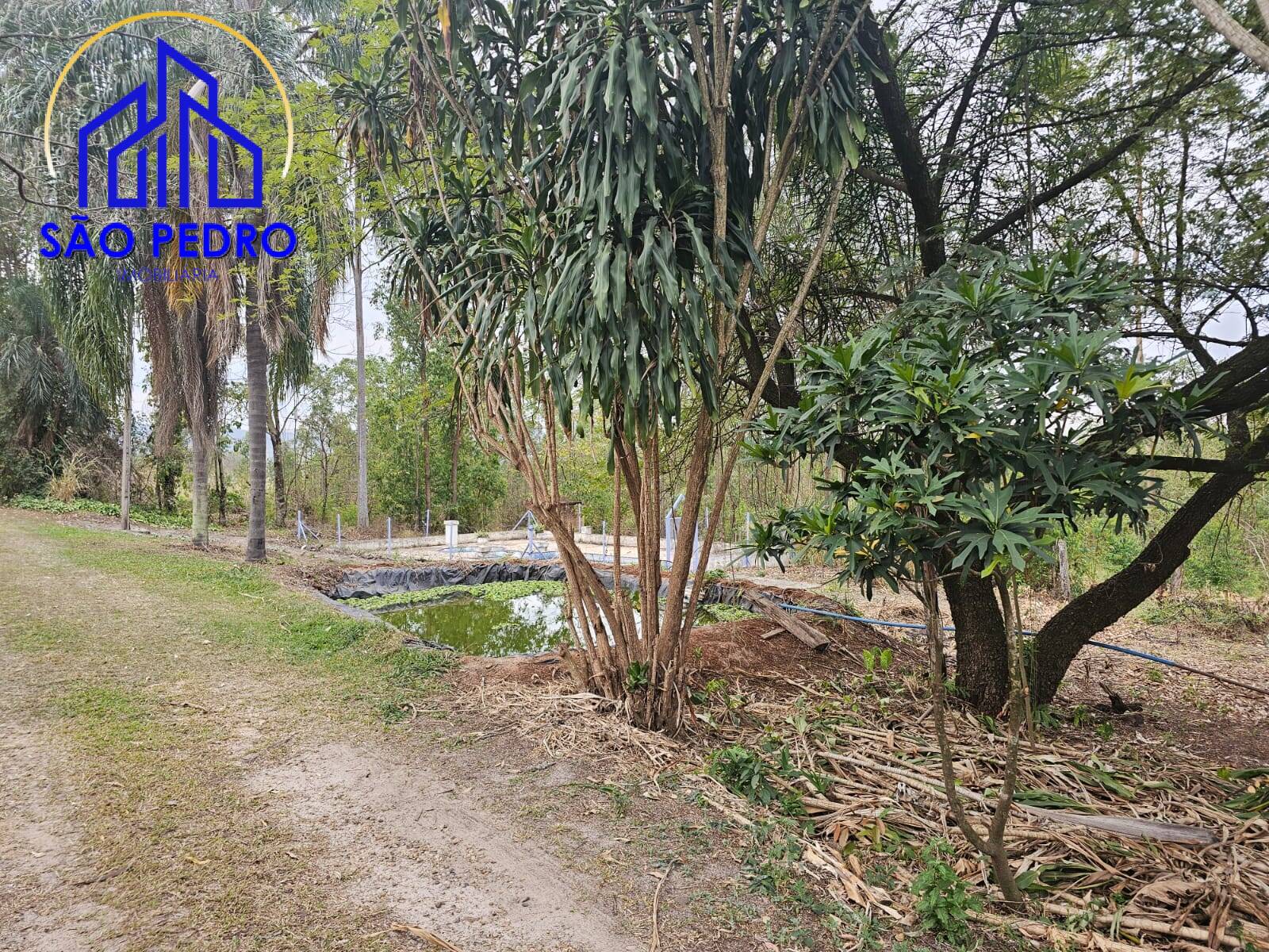 Chácara à venda com 4 quartos, 24800m² - Foto 57
