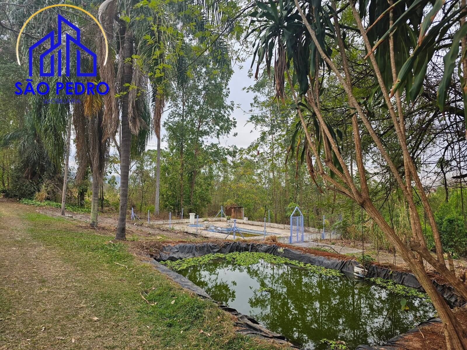 Chácara à venda com 4 quartos, 24800m² - Foto 58