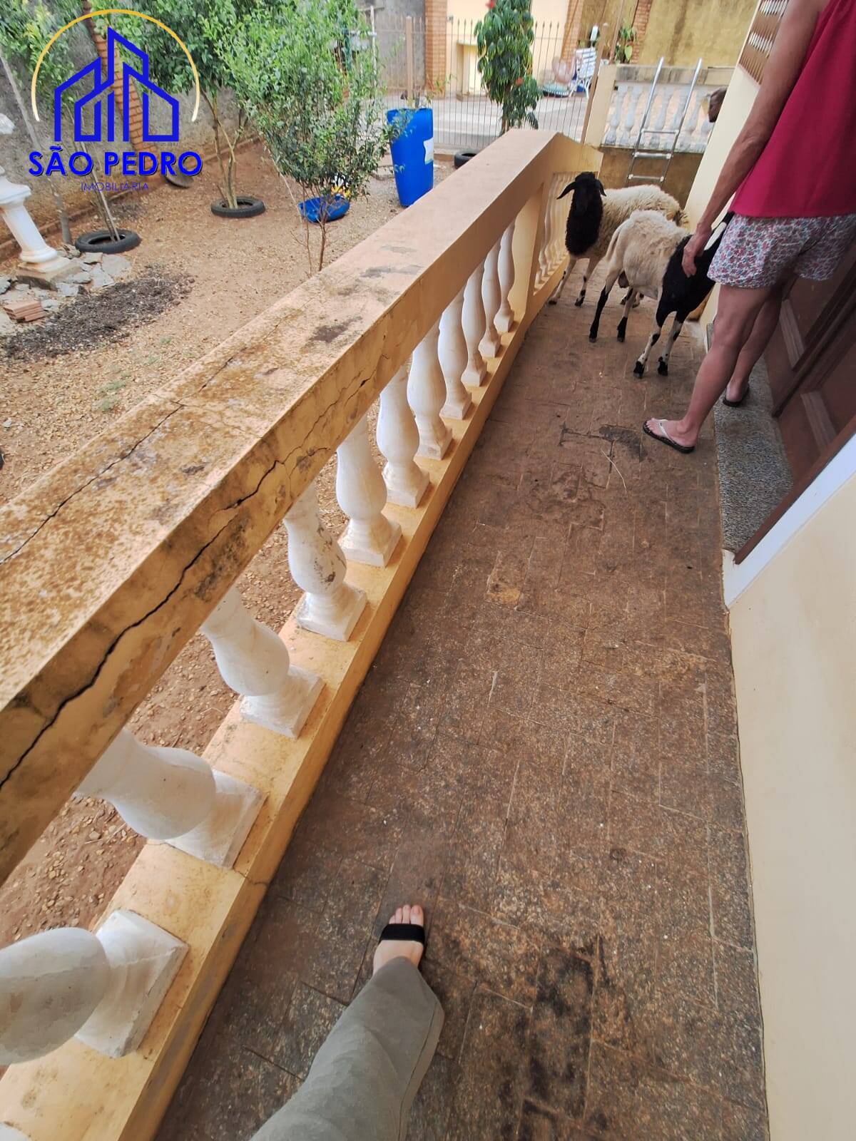 Casa, 3 quartos, 212 m² - Foto 44