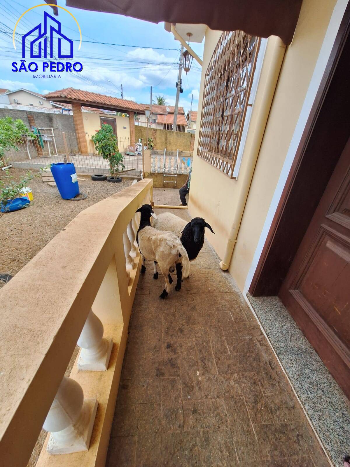 Casa, 3 quartos, 212 m² - Foto 45