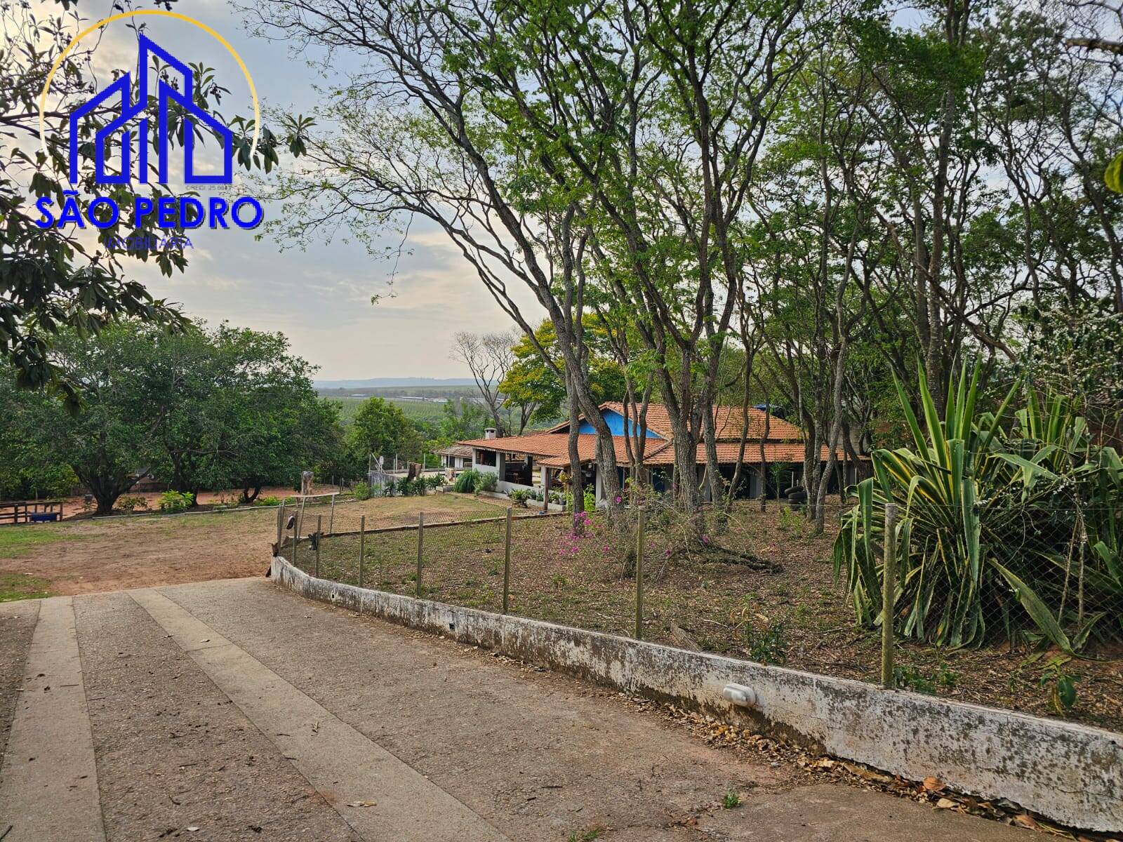 Casa, 3 quartos, 386 m² - Foto 4