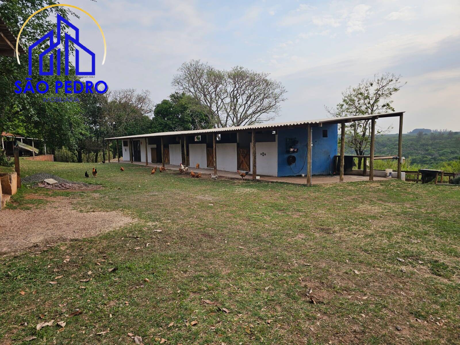 Casa, 3 quartos, 386 m² - Foto 6