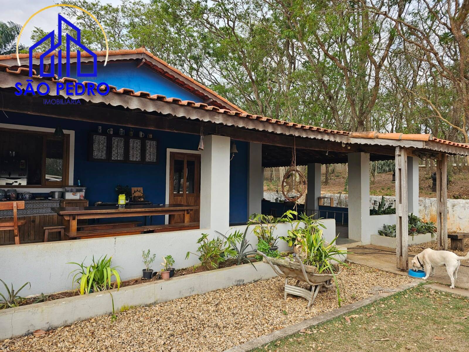 Casa, 3 quartos, 386 m² - Foto 11