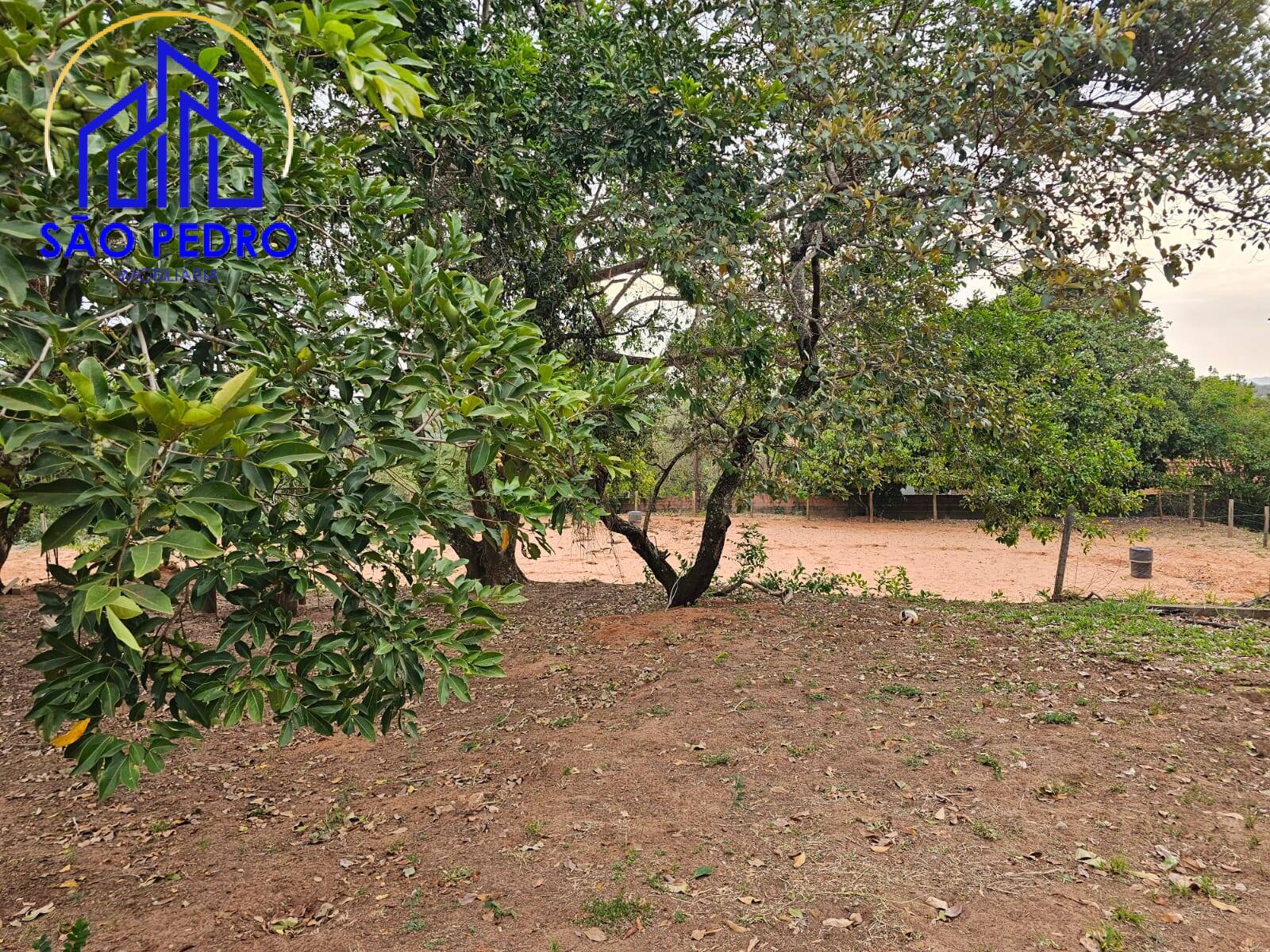 Casa, 3 quartos, 386 m² - Foto 23