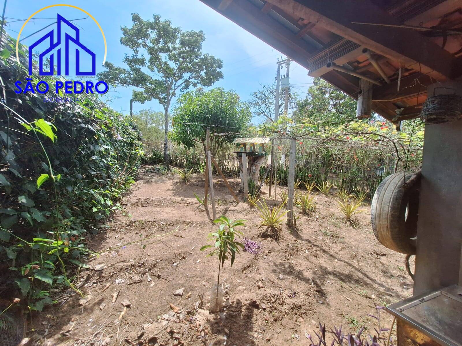 Sítio, 1 quarto - Foto 38