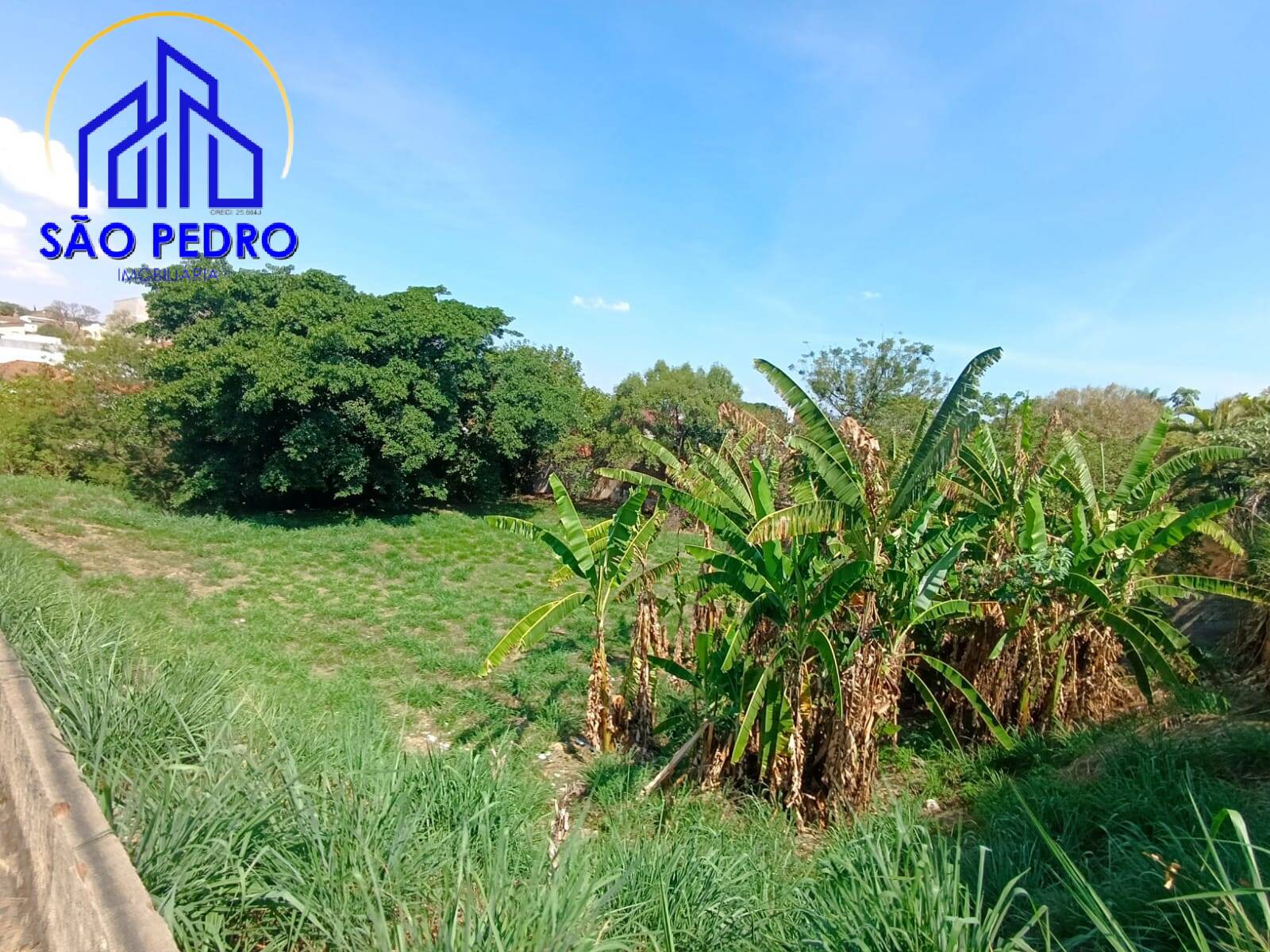 Terreno, 2287 m² - Foto 4