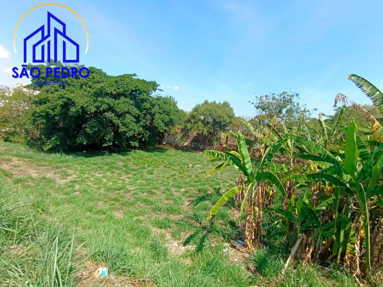 Terreno, 2287 m² - Foto 5