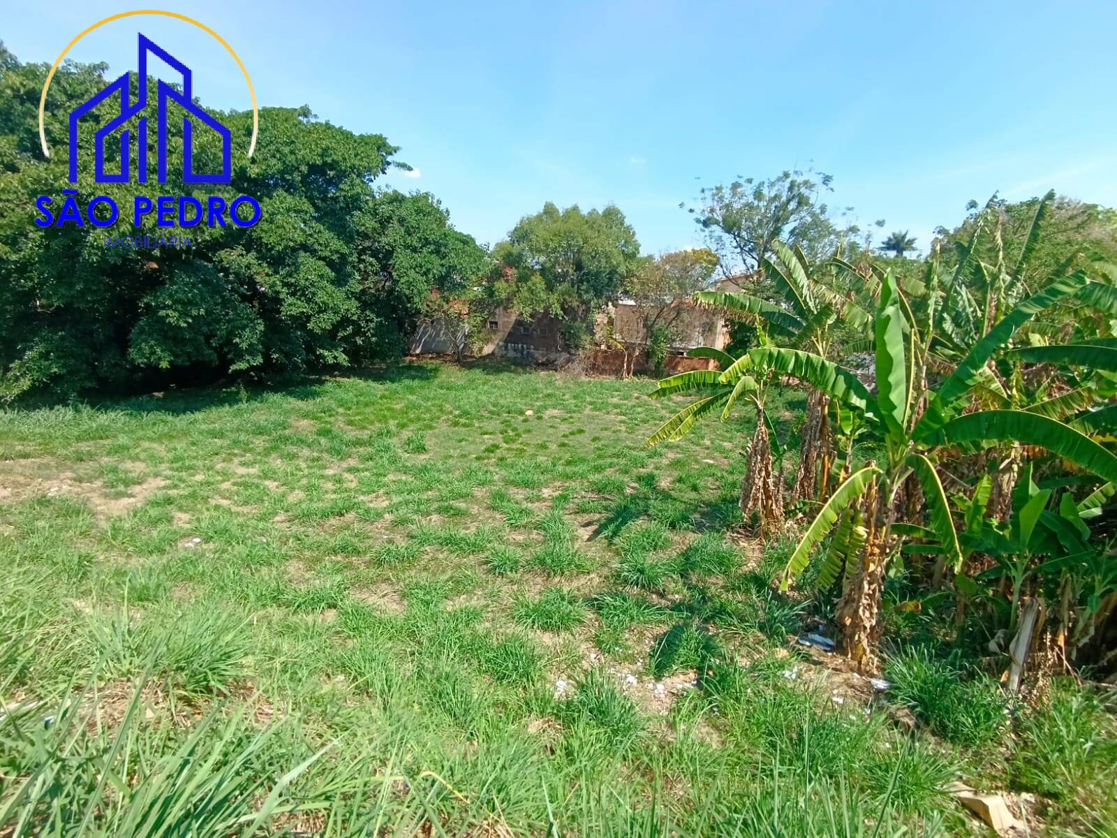 Terreno, 2287 m² - Foto 8