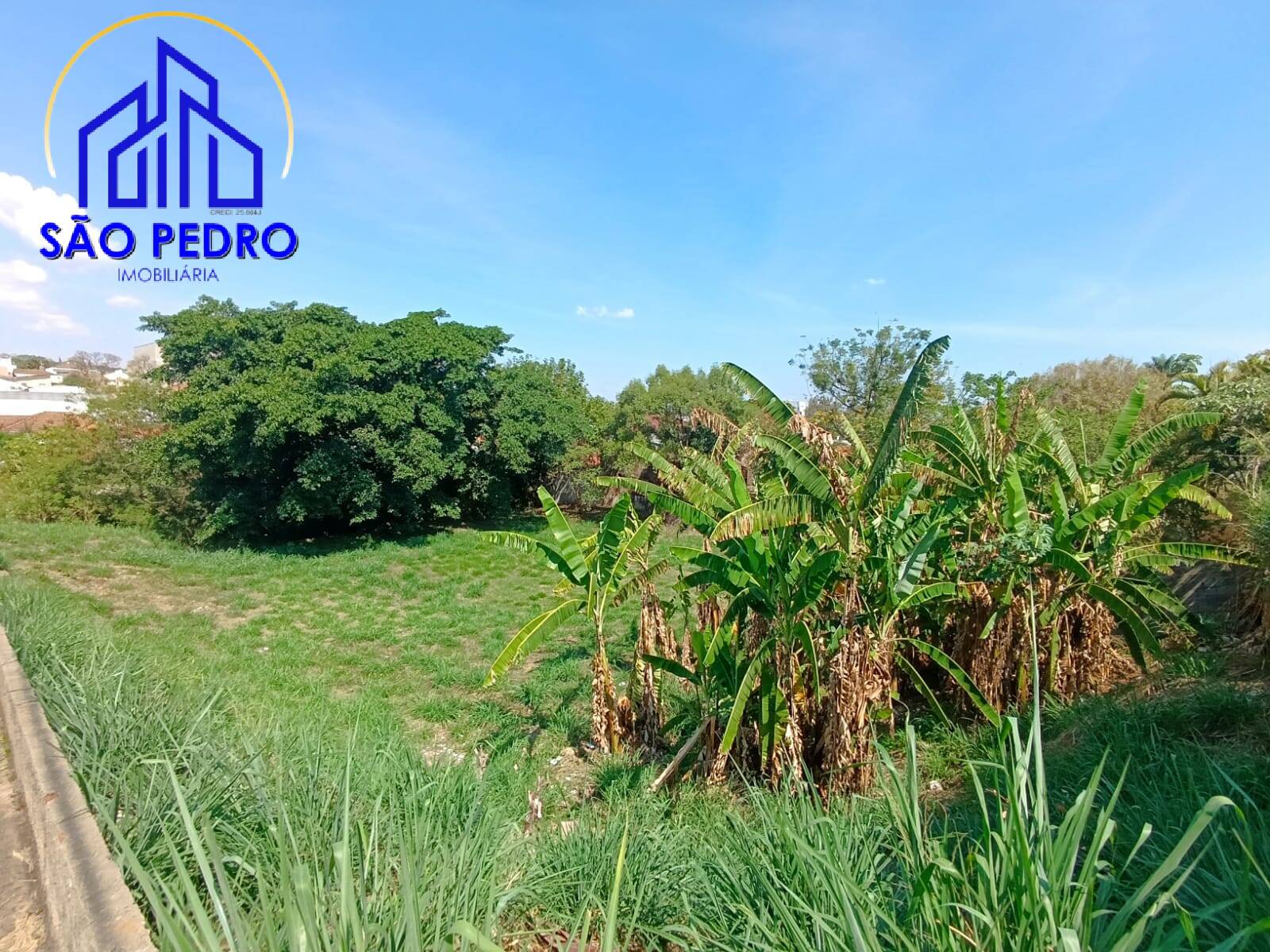 Terreno, 2287 m² - Foto 11