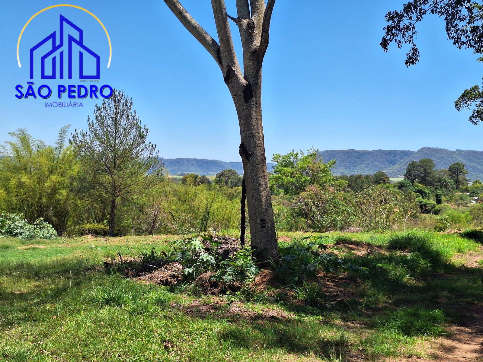 Terreno, 5280 m² - Foto 13