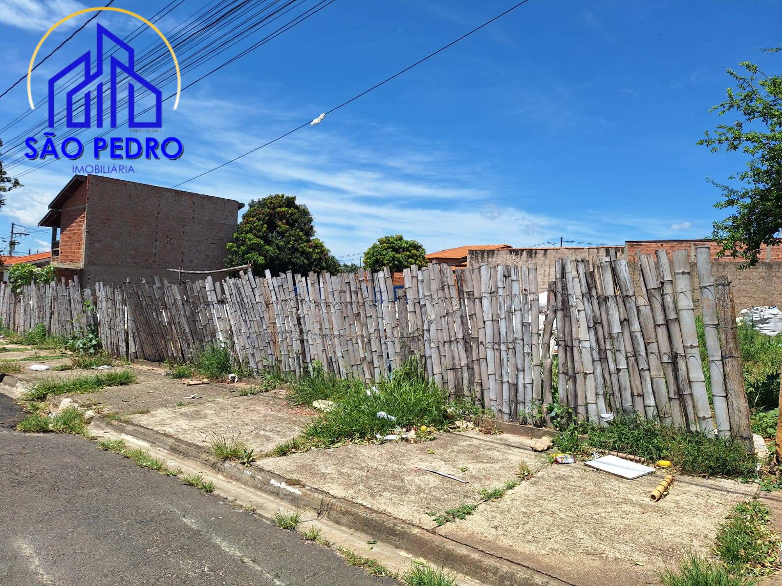 Terreno, 250 hectares - Foto 2