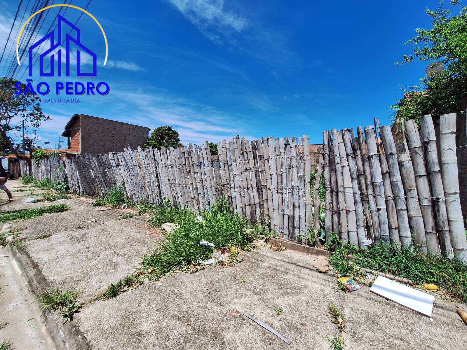 Terreno, 250 hectares - Foto 3