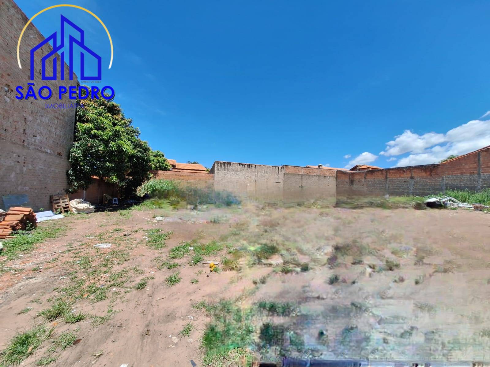 Terreno, 250 hectares - Foto 1