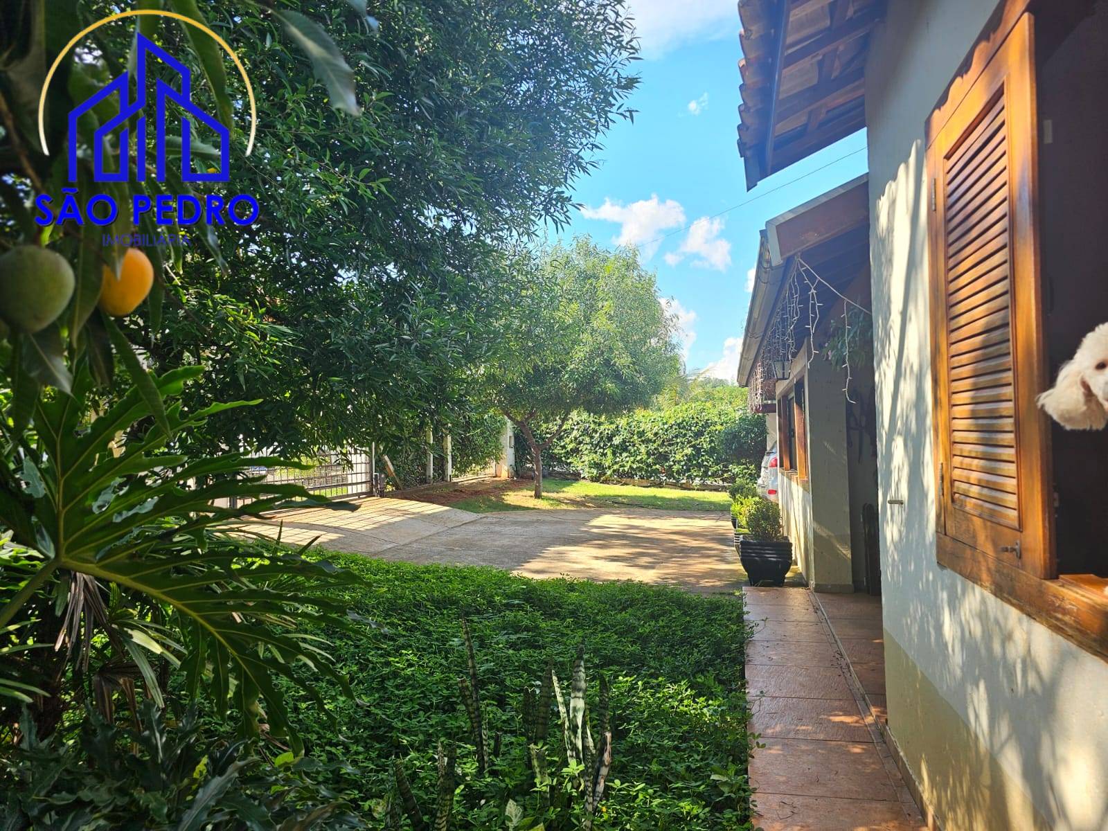 Casa, 3 quartos, 256 m² - Foto 30