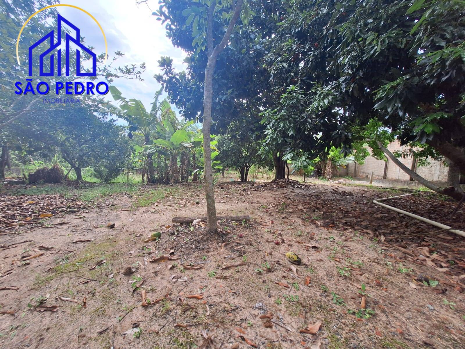 Casa, 3 quartos, 161 m² - Foto 10