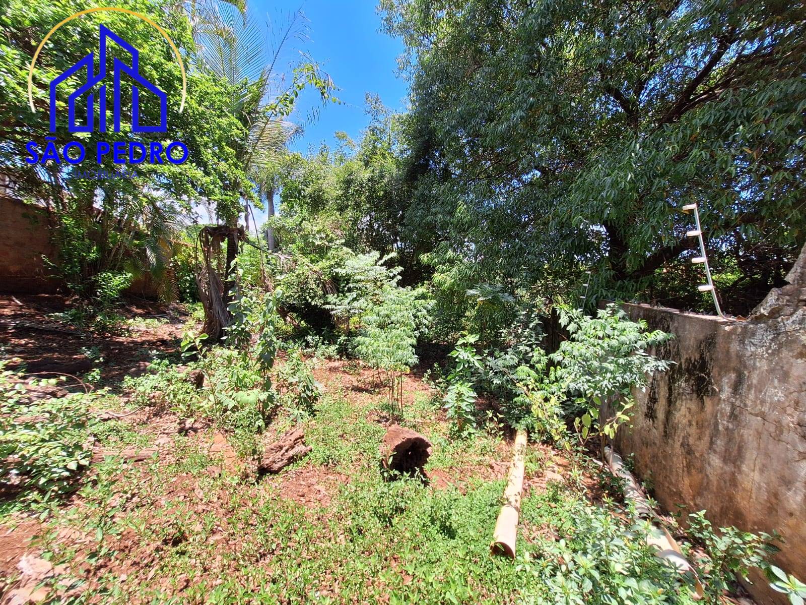 Terreno, 4810 m² - Foto 3