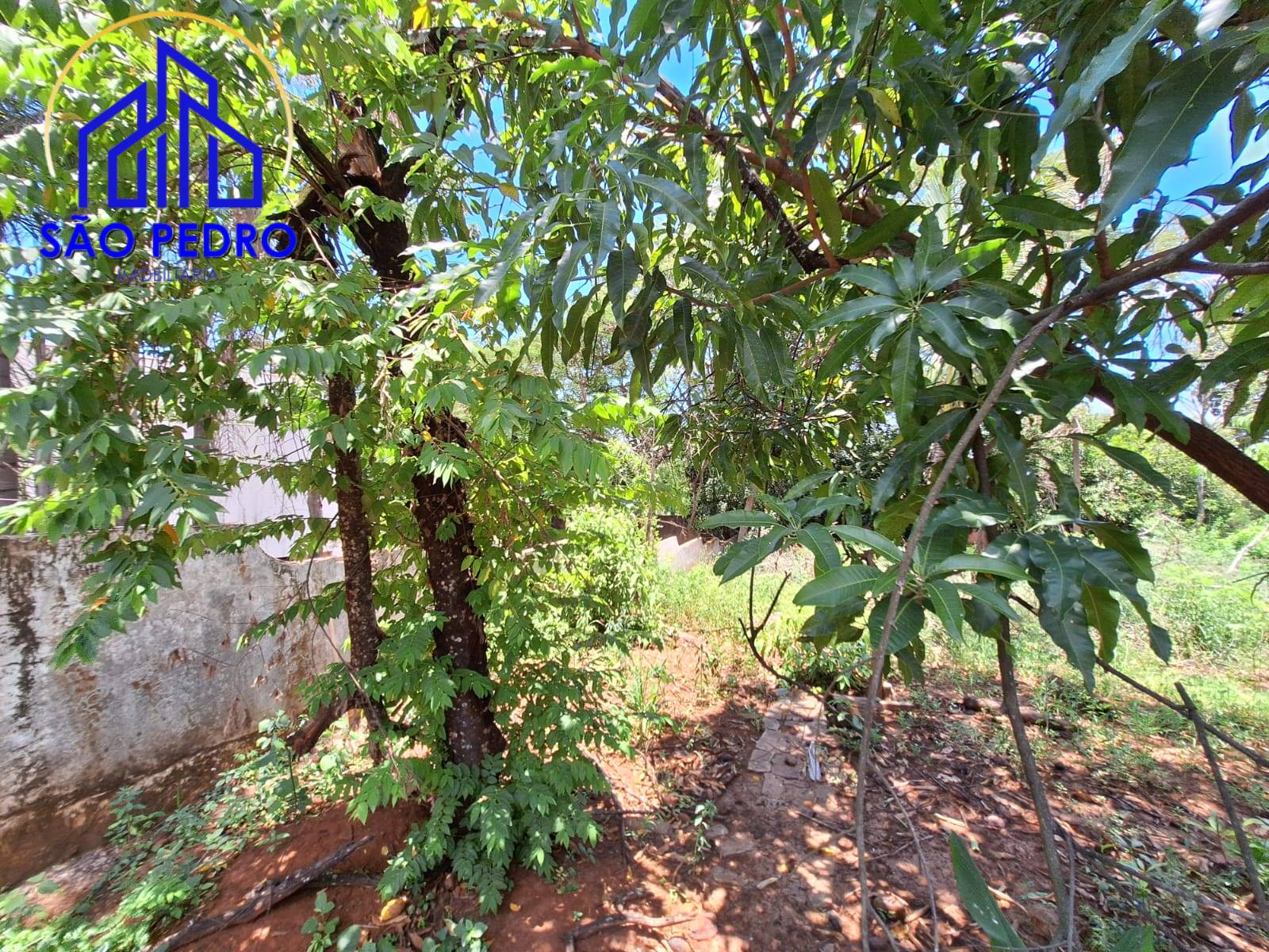 Terreno, 4810 m² - Foto 32