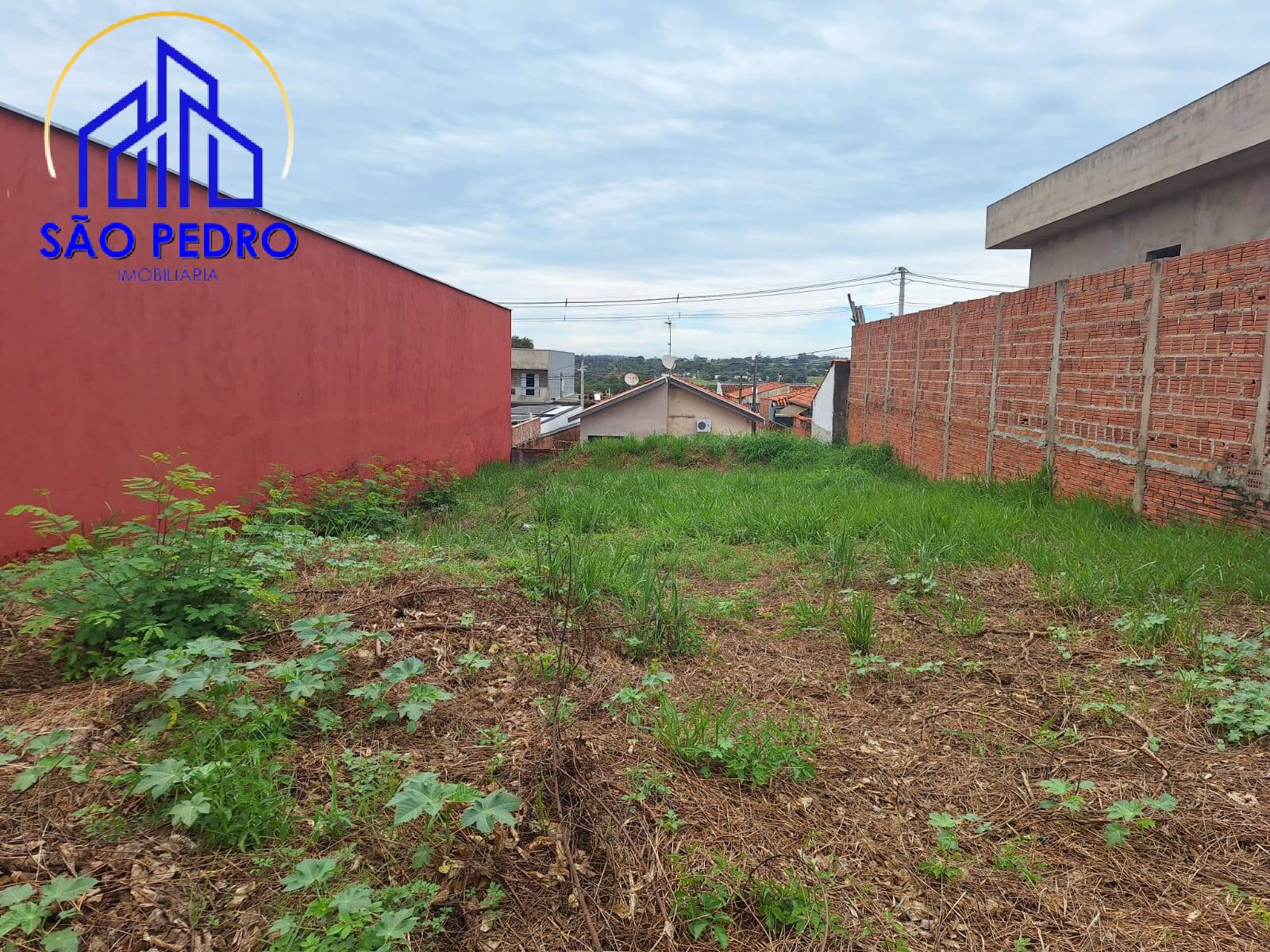 Terreno, 260 hectares - Foto 1