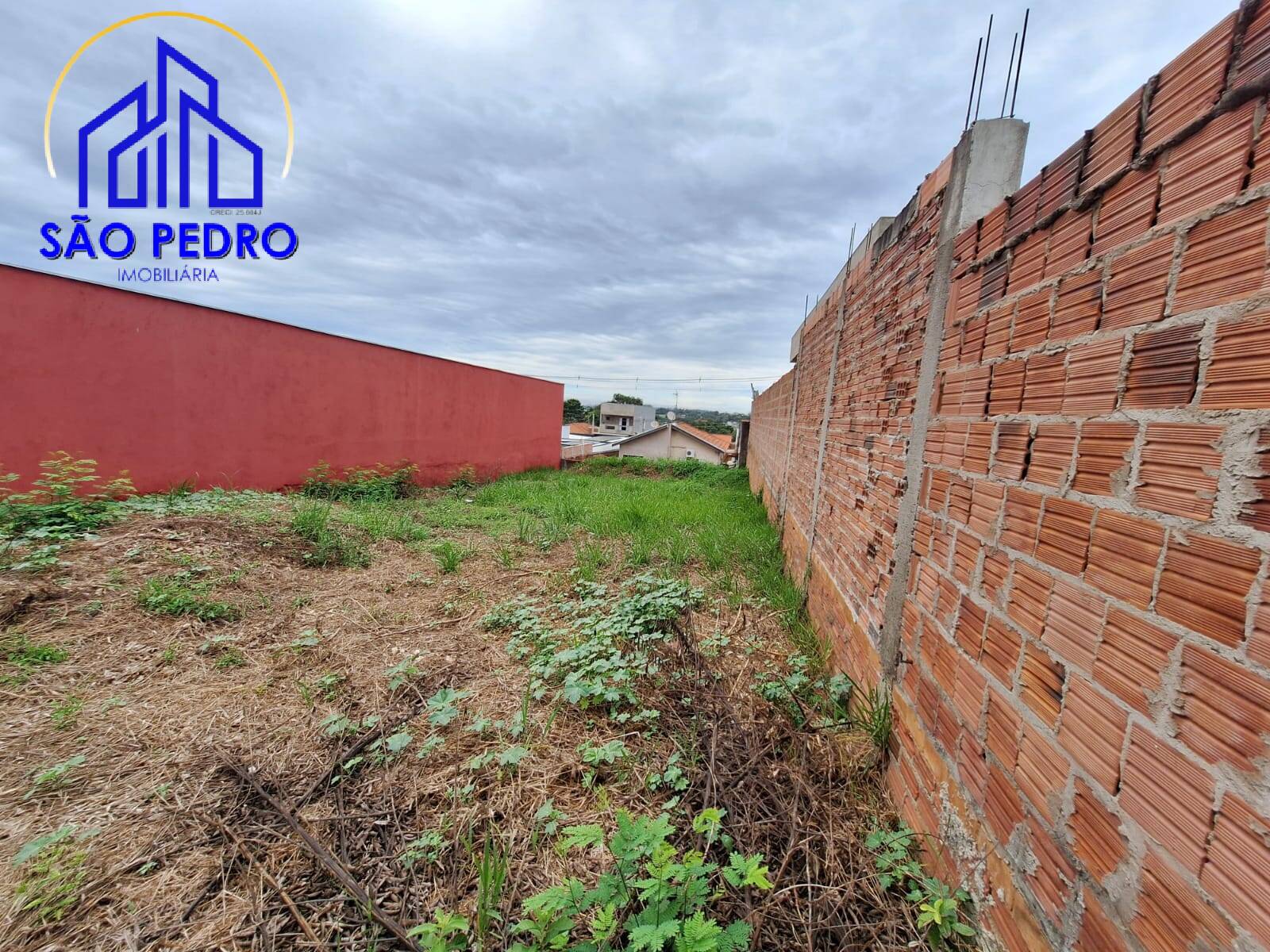 Terreno, 260 hectares - Foto 4