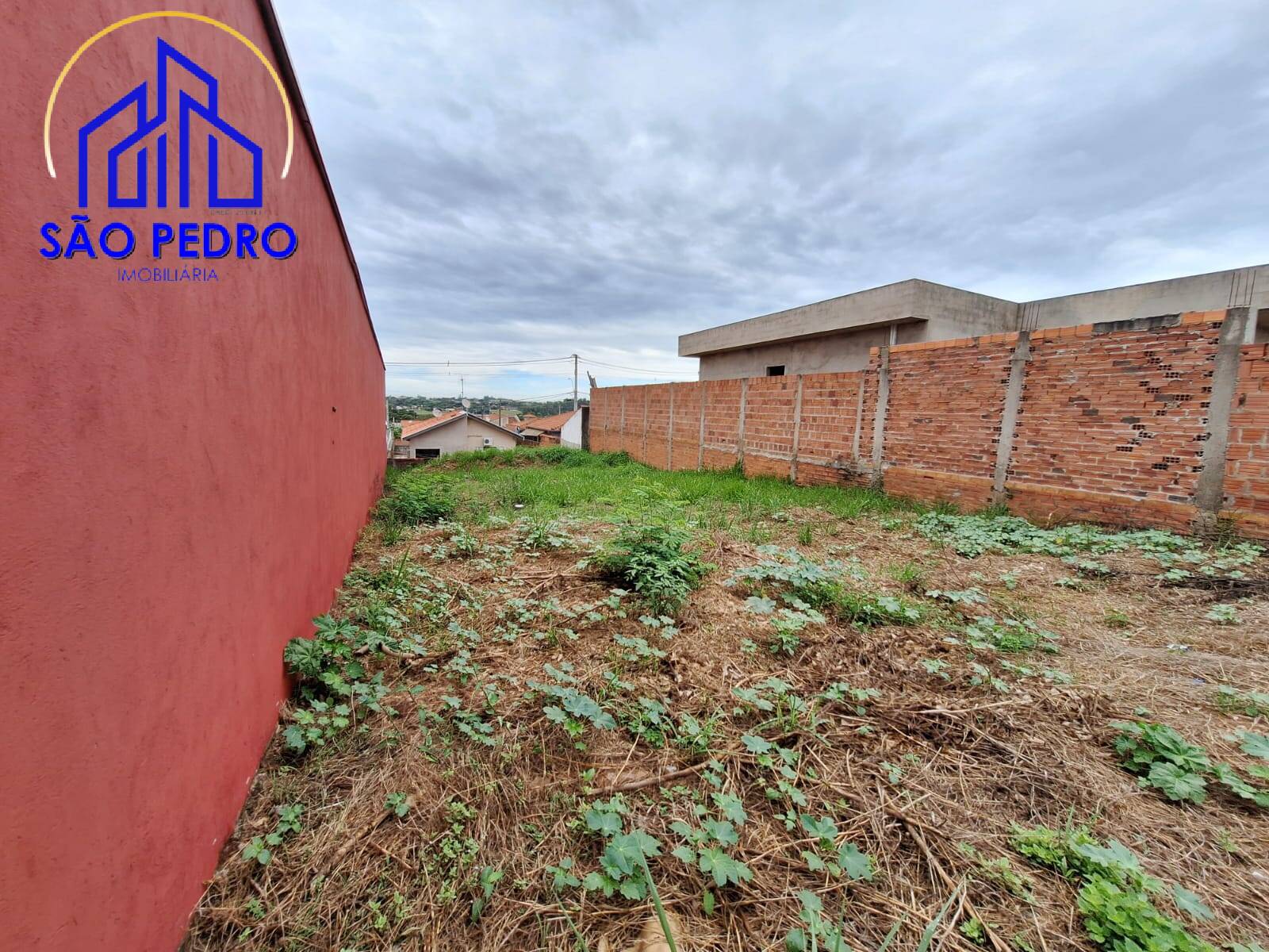 Terreno, 260 hectares - Foto 6
