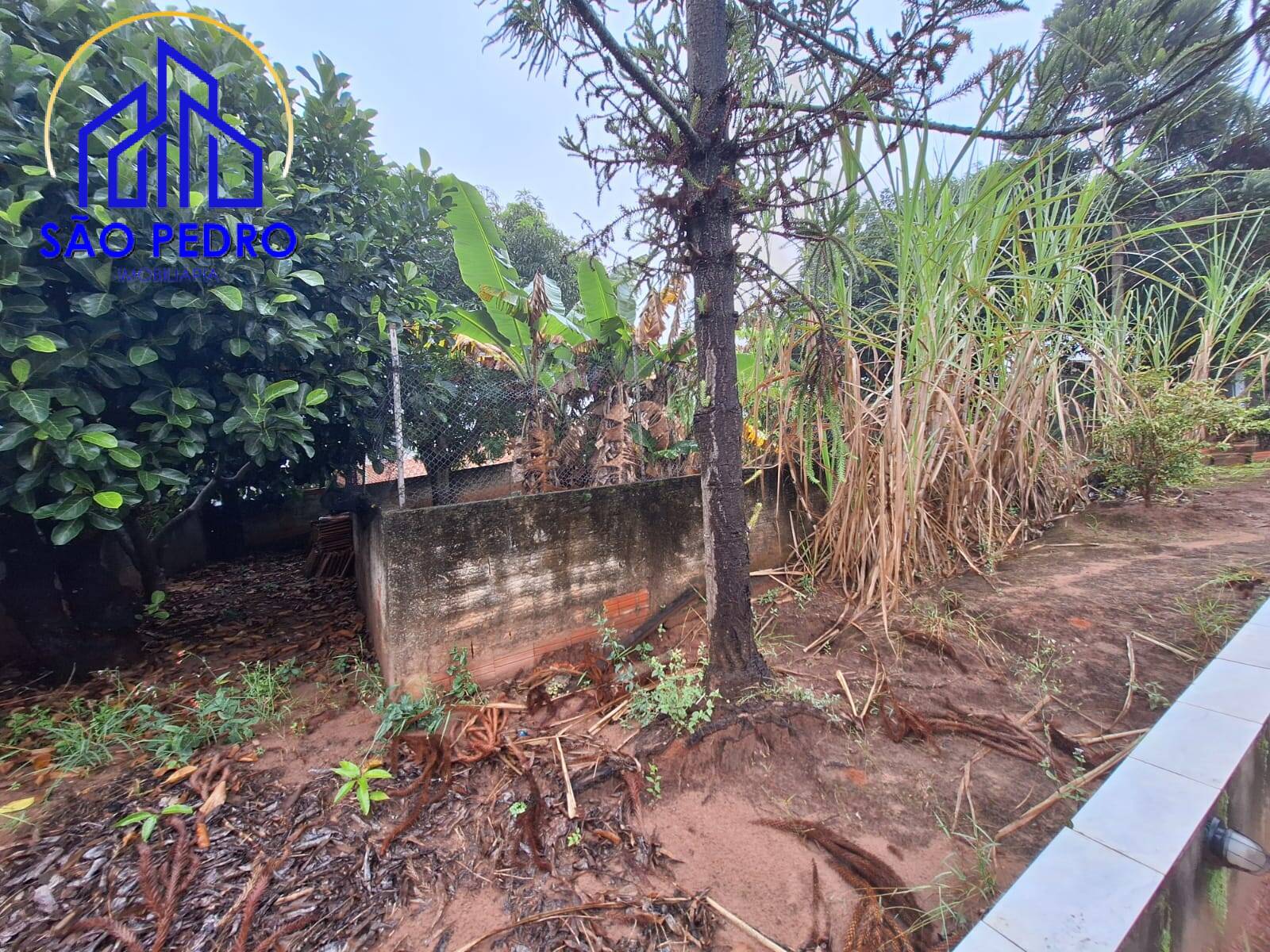 Casa, 3 quartos, 73 m² - Foto 43