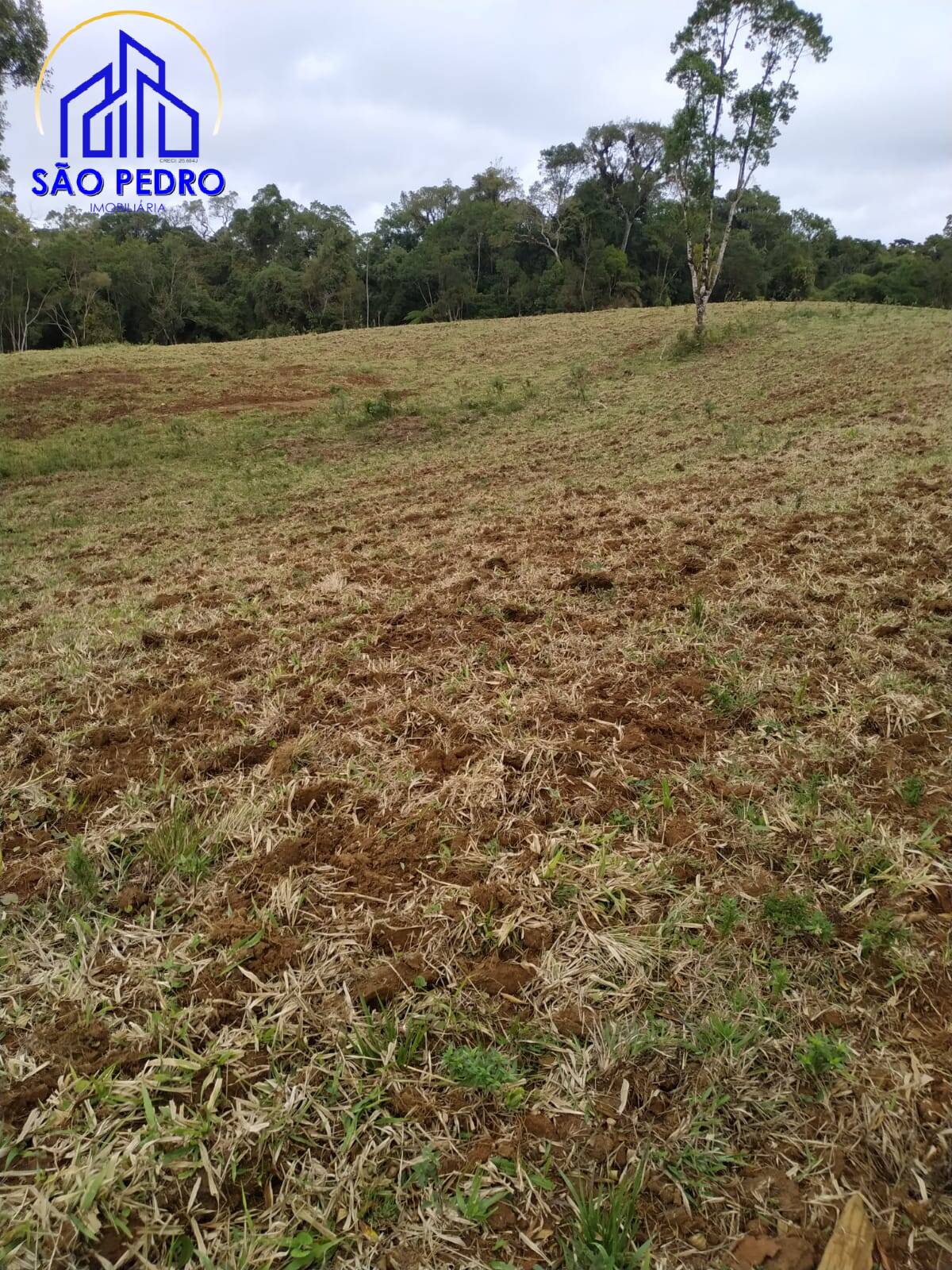 Terreno, 78 m² - Foto 13