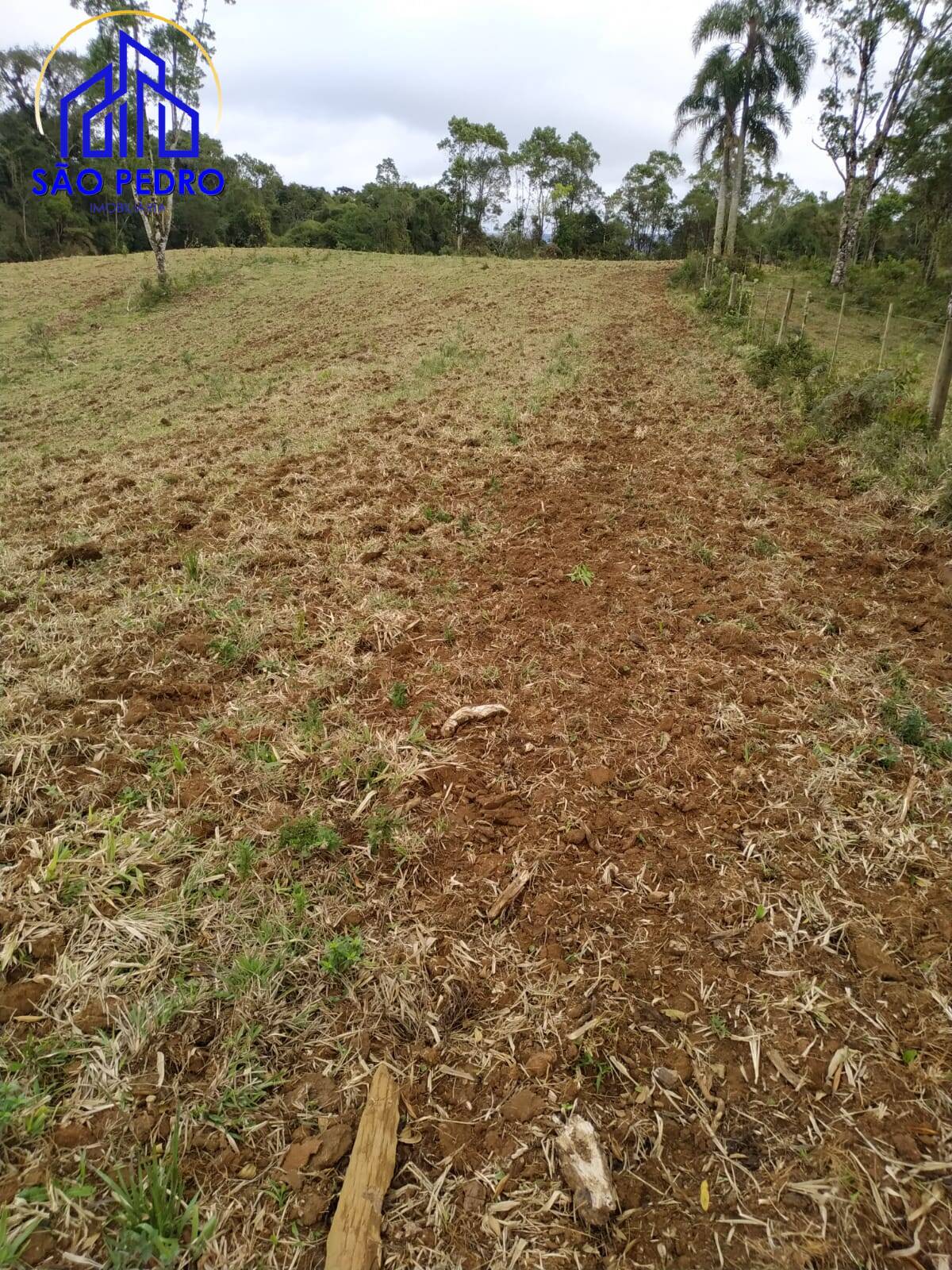 Terreno, 78 m² - Foto 14
