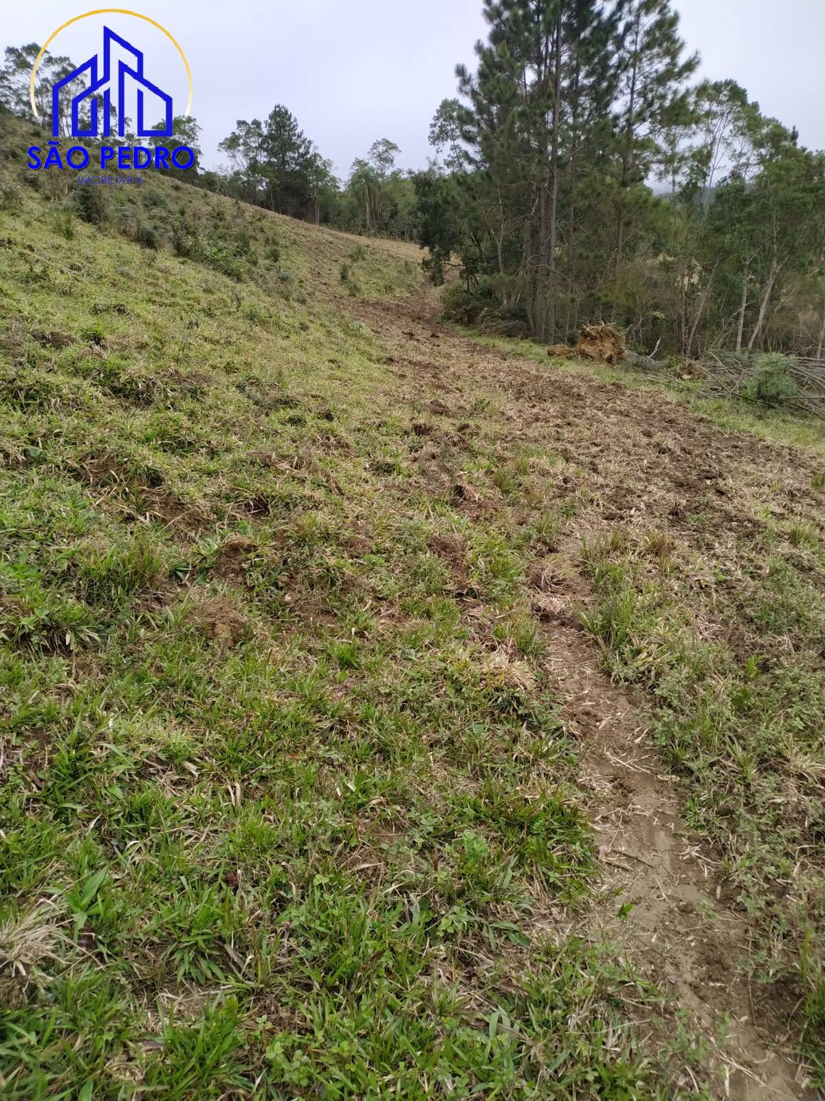 Terreno, 78 m² - Foto 15
