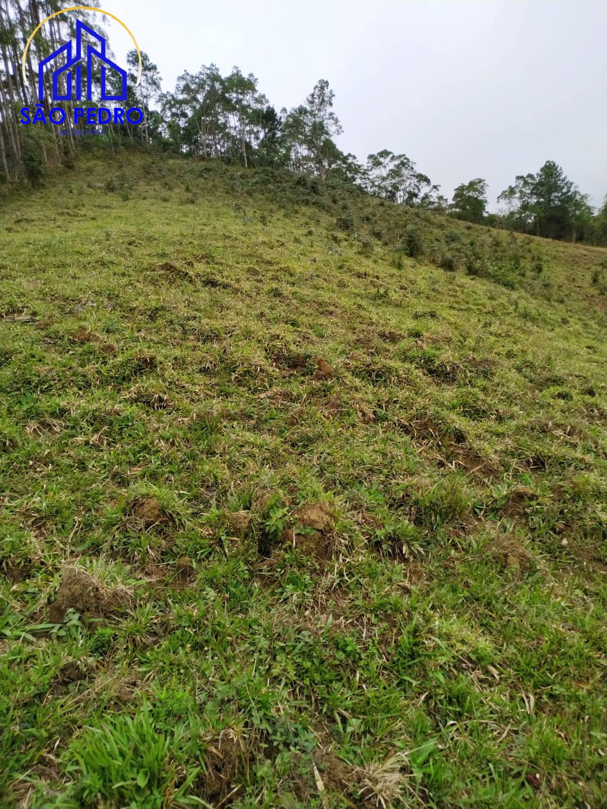 Terreno, 78 m² - Foto 16
