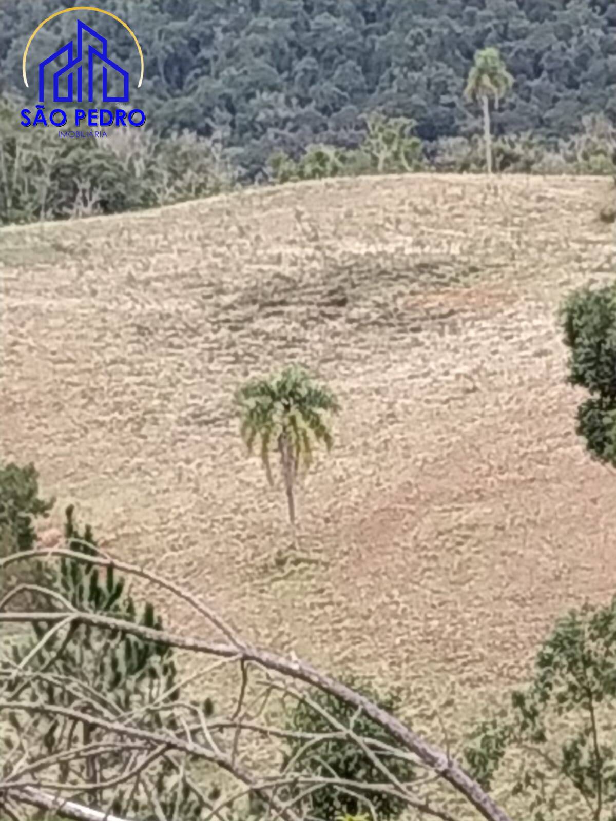 Terreno, 78 m² - Foto 17
