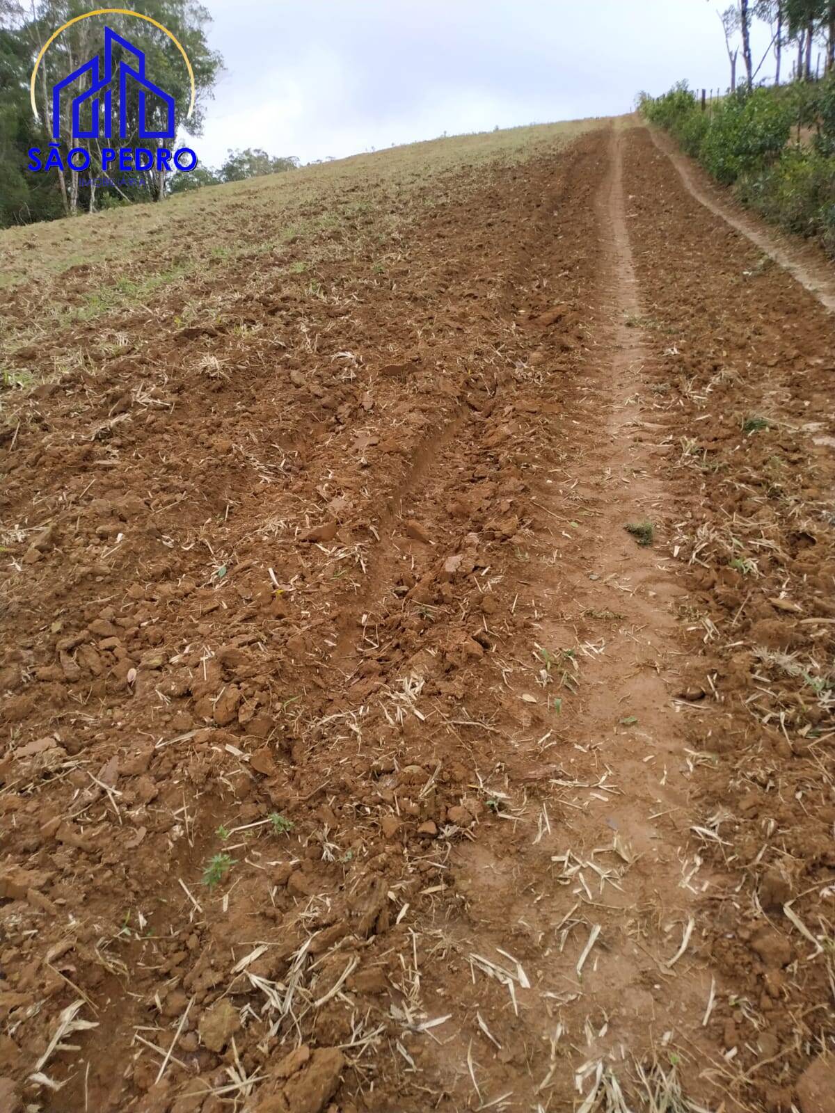 Terreno, 78 m² - Foto 18