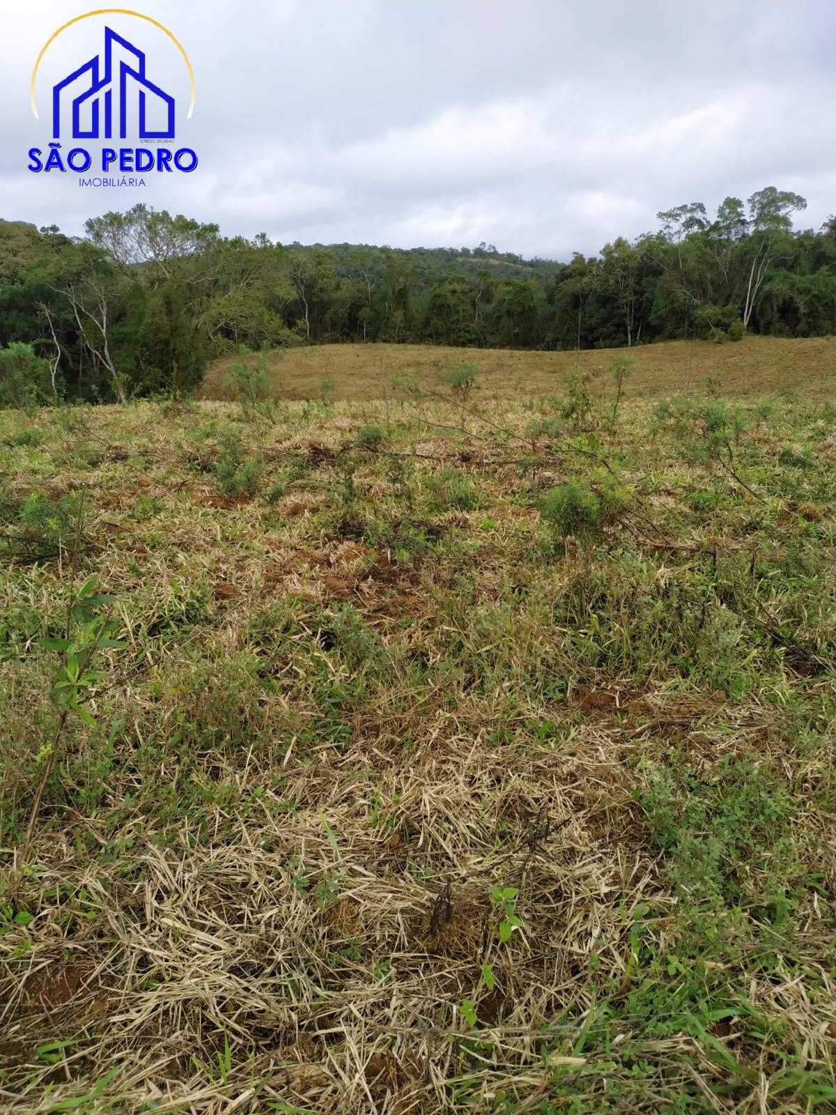 Terreno, 78 m² - Foto 19