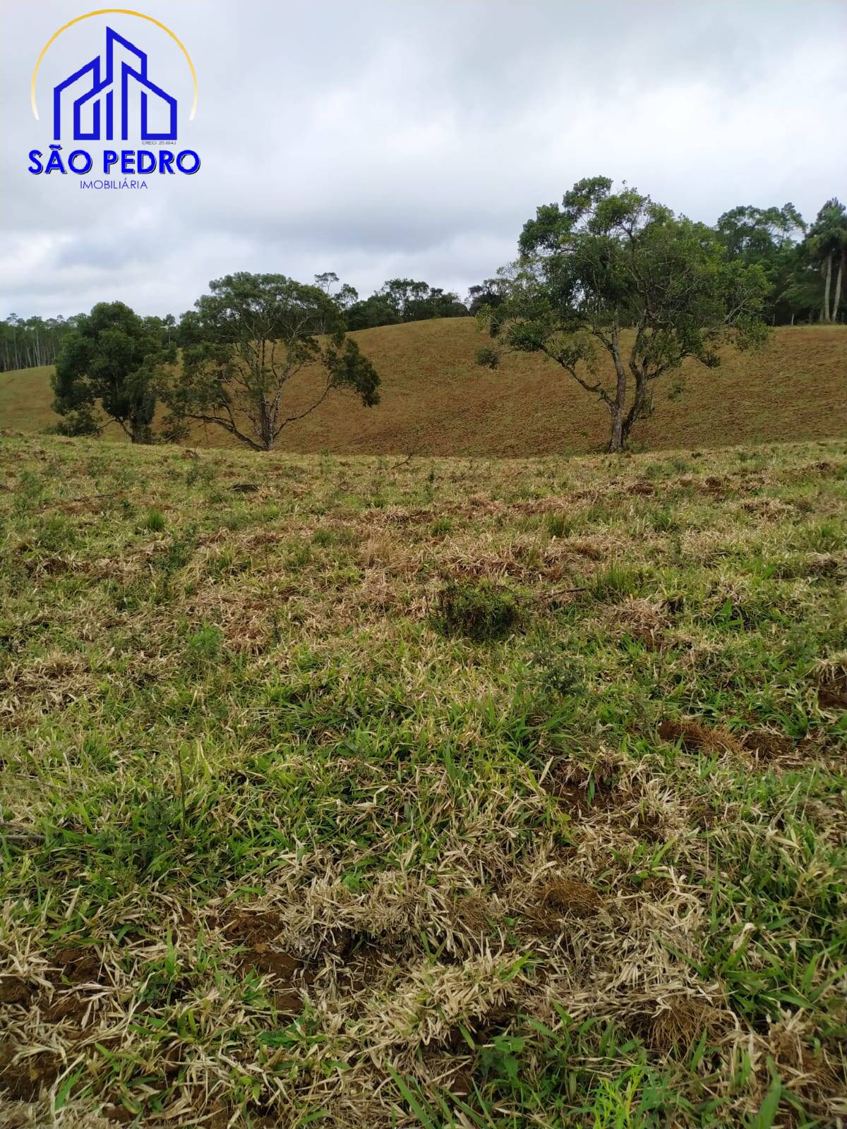 Terreno, 78 m² - Foto 22