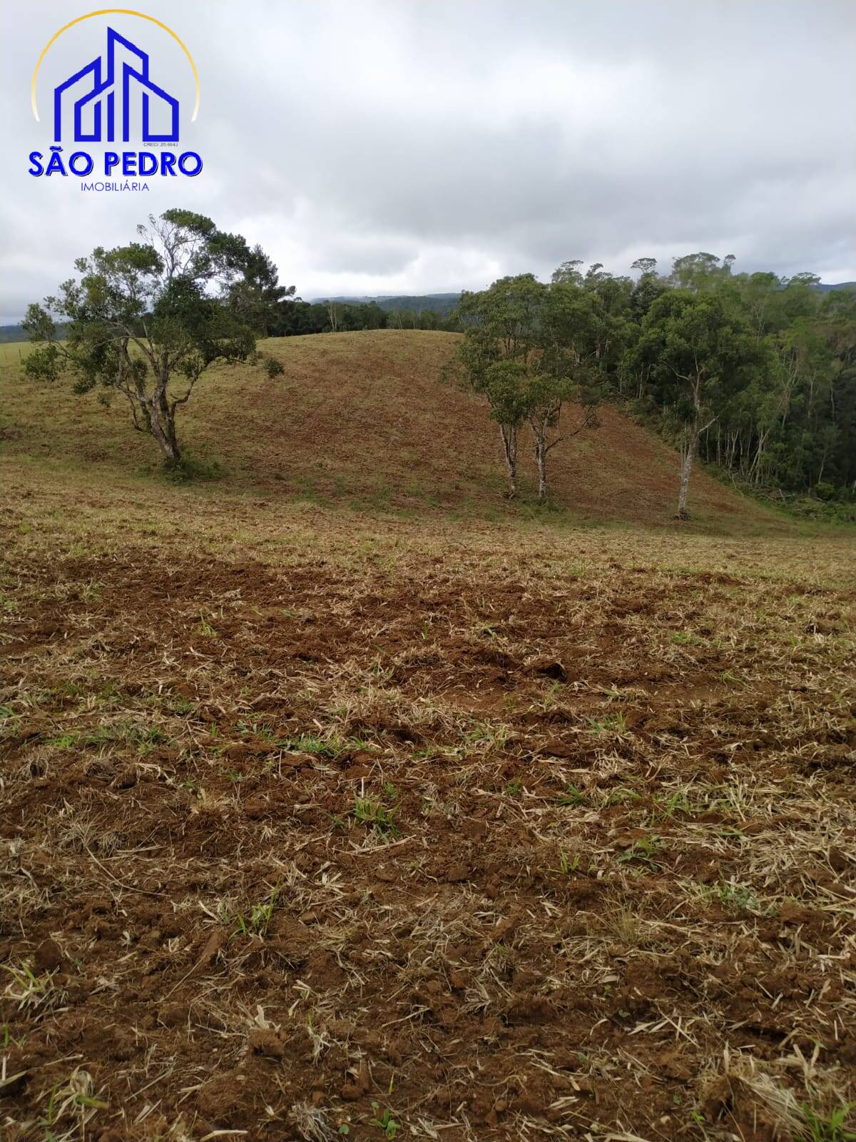 Terreno, 78 m² - Foto 23