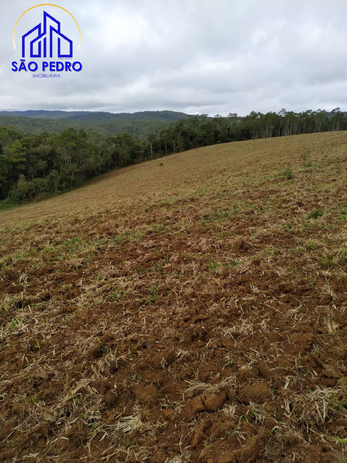 Terreno, 78 m² - Foto 24