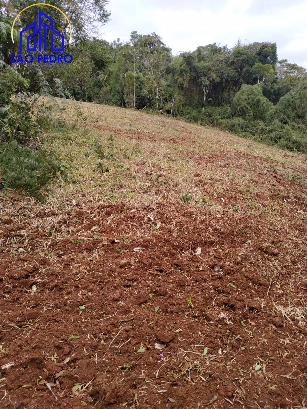 Terreno, 78 m² - Foto 25