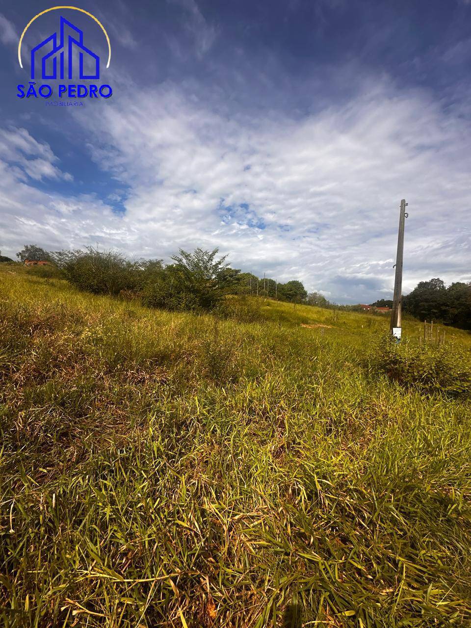 Terreno, 1003 m² - Foto 3