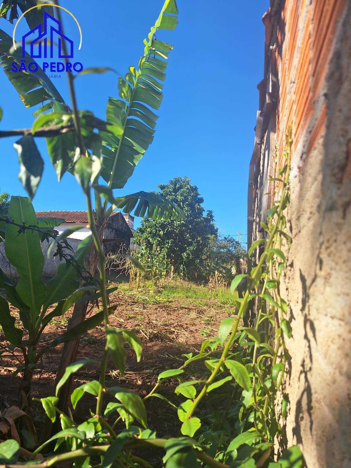 Terreno, 250 m² - Foto 2