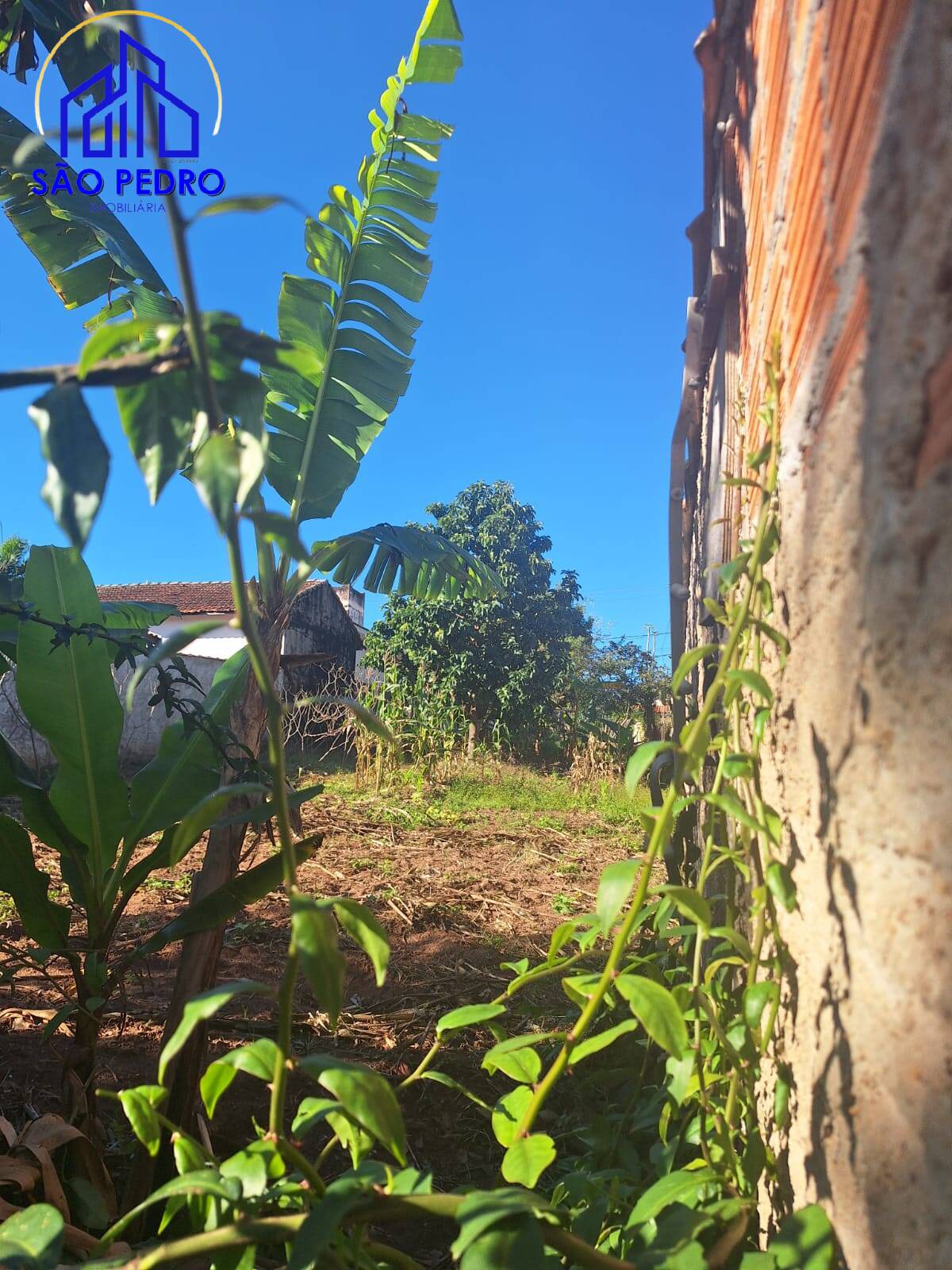 Terreno, 250 m² - Foto 4